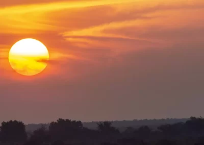 Sunset in the Kruger park